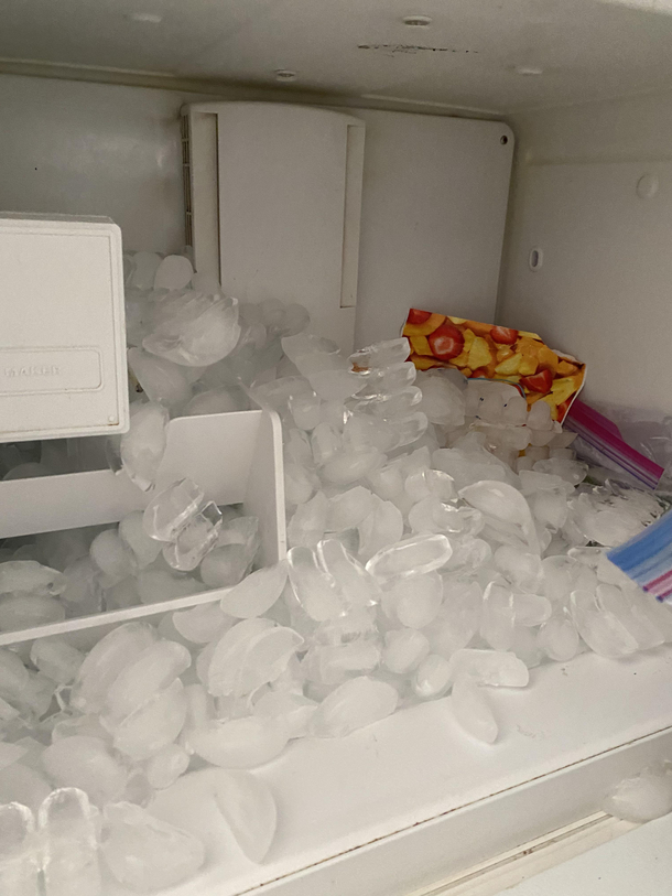 Gone for two days and my ice tray decided to take steroids