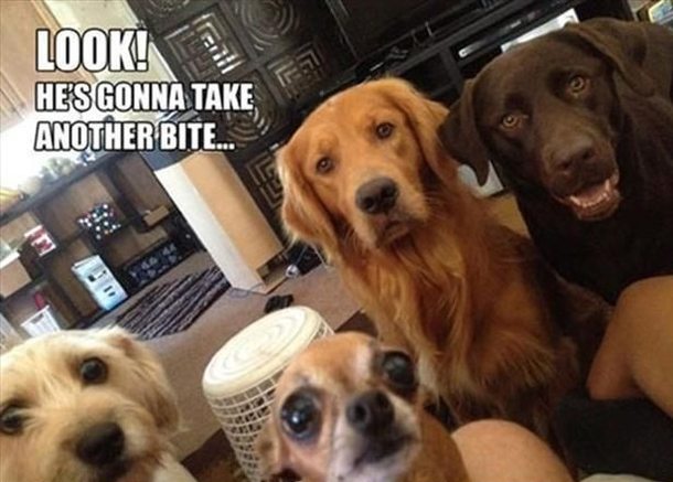 gonna take another bite