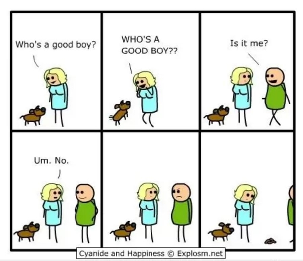 Good boy