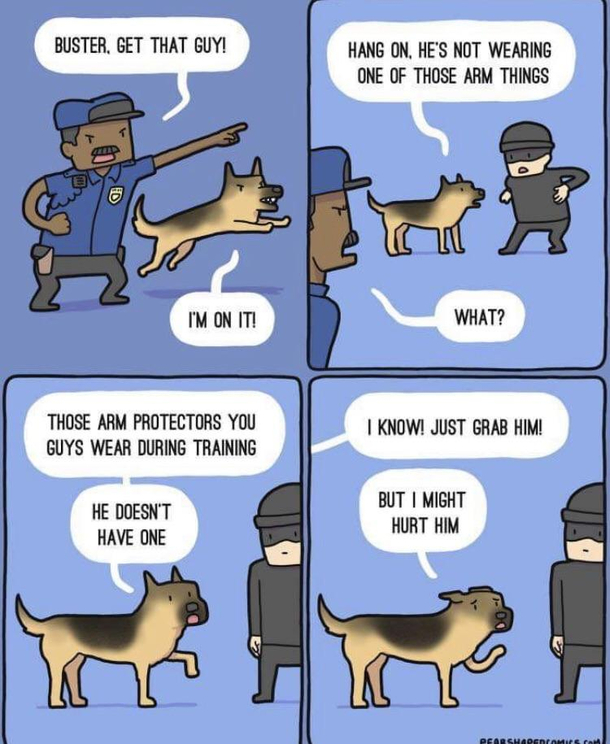 Good boy