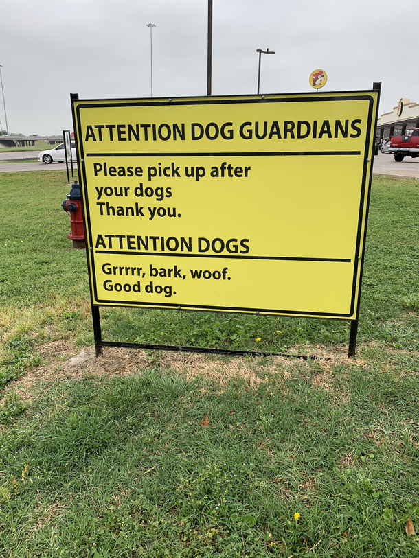 Good Boy