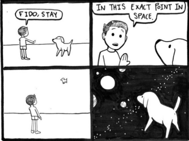 Good boy Fido