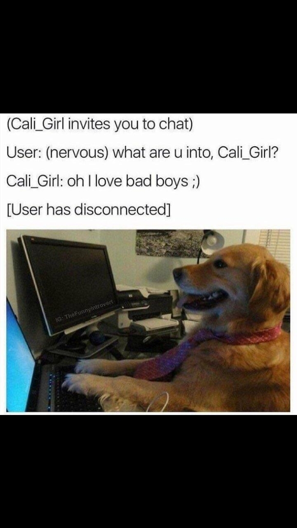 Good doggo