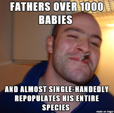 Good guy Diego the Galpagos tortoise