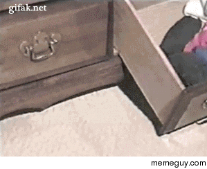 Good guy ferret organizes your socks