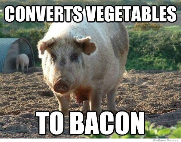 Good Guy Pig