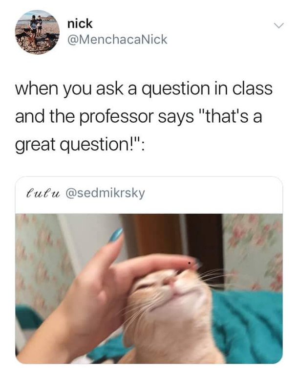 Good kitty