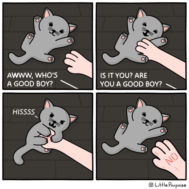 Good Kitty