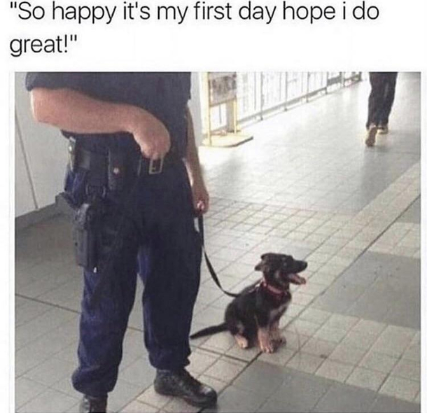 good luck pal