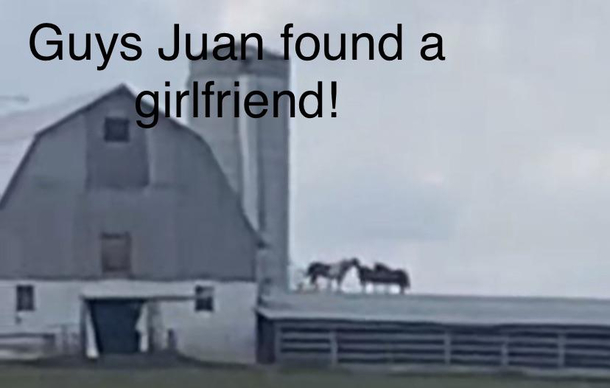 Good News
