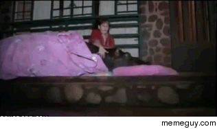 Good night sweet hippo