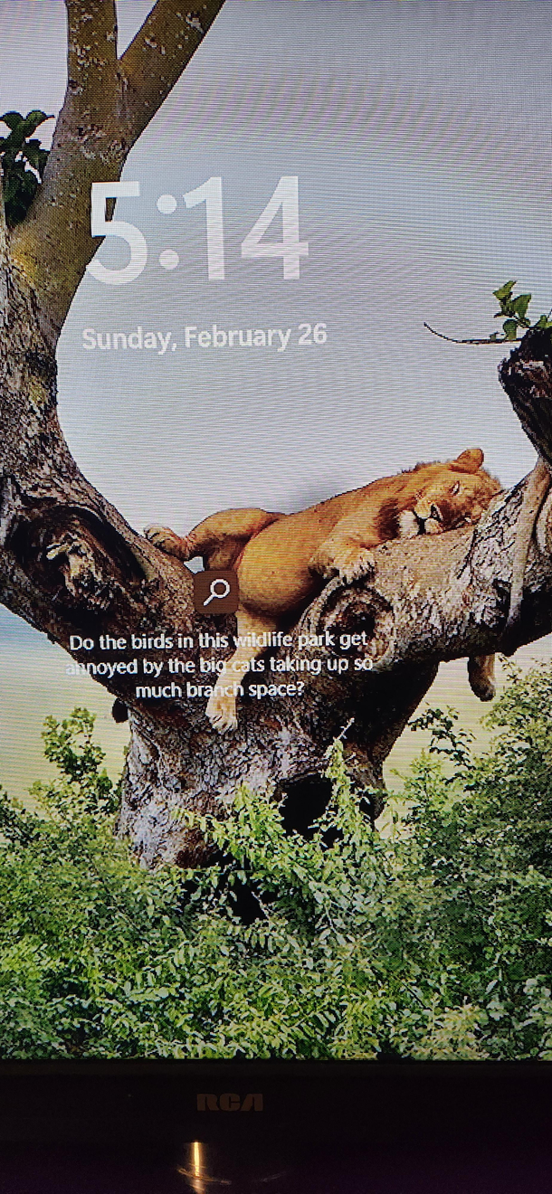 good spot for the magnifying glass