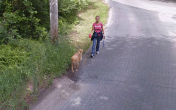 Google also respects the privacy of dogs OC