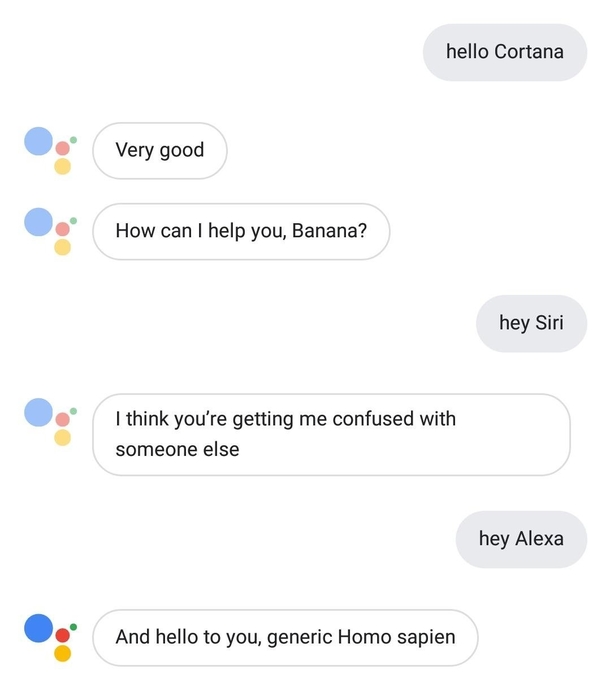 Google Assistant apparently doesnt like being called other AIs names