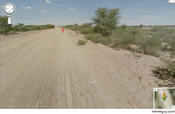 Google drivers run over a donkey
