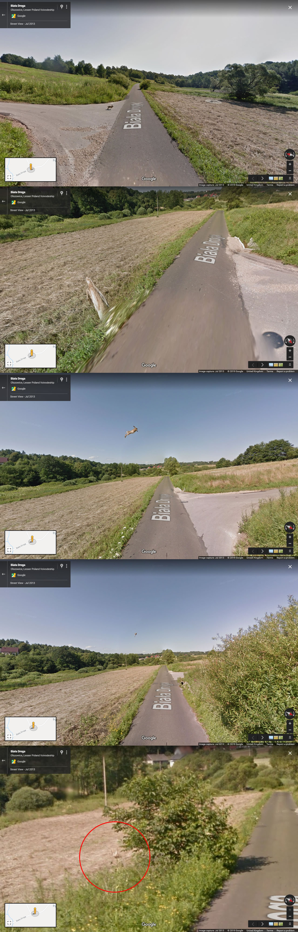 Google Maps car hits a hare at speed