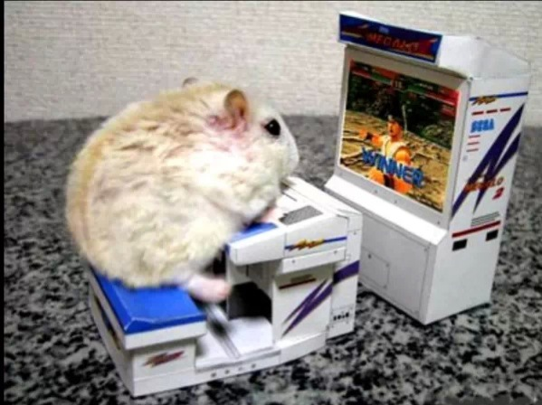 Googled best gaming mouse was not disappointed