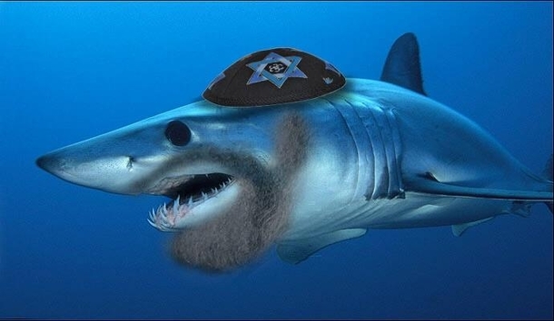 Googled Sharks in Hebrew and wasnt disappointed