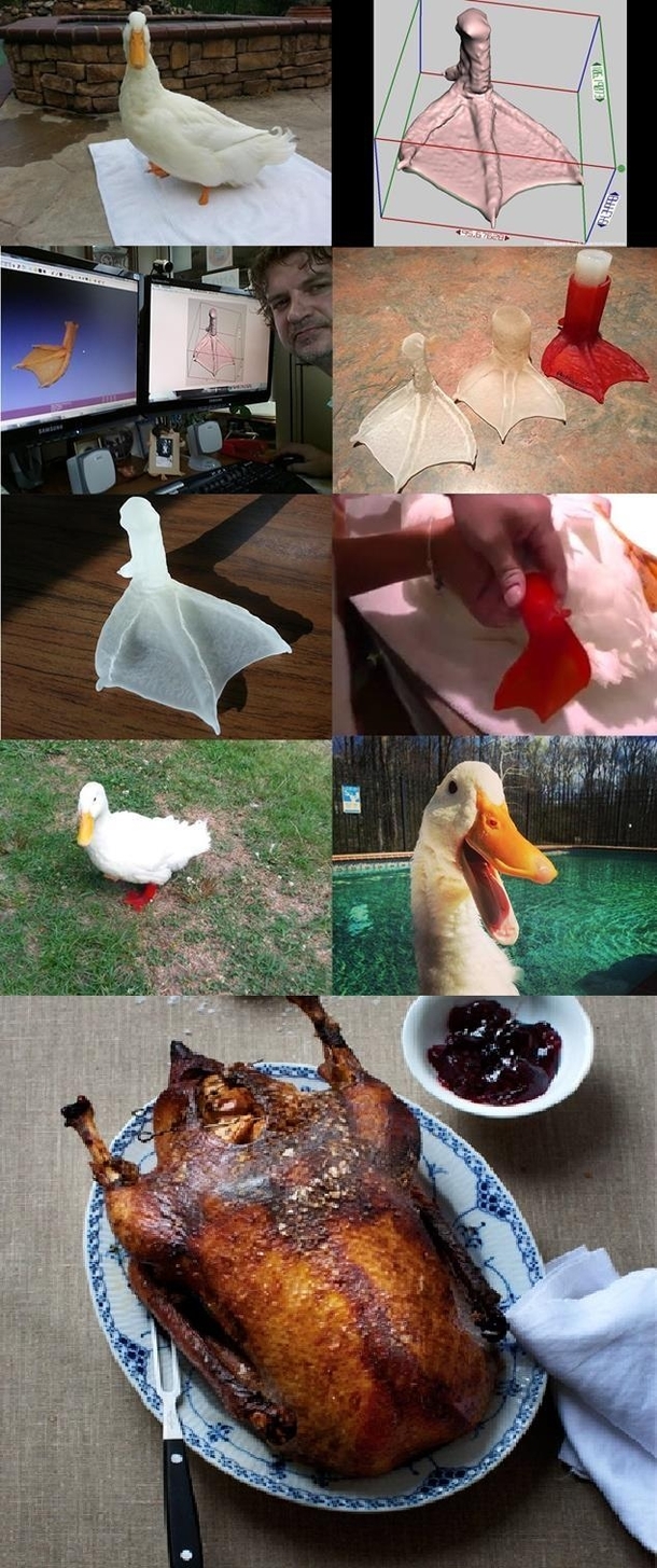 Goose missed a leg I printed one