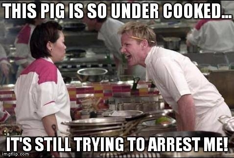 Gordon Ramsay on pork
