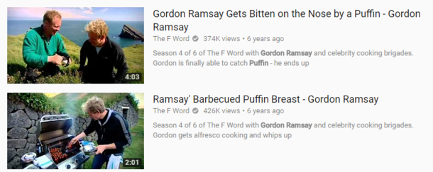 Gordon v Puffin