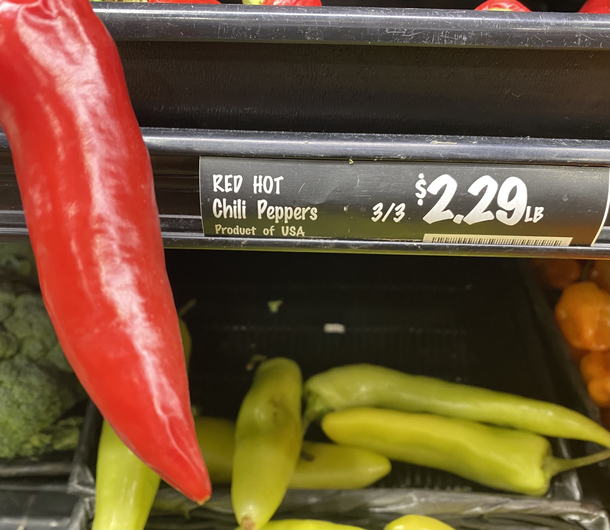 Got a great price on these peppers they were almost giving them away now