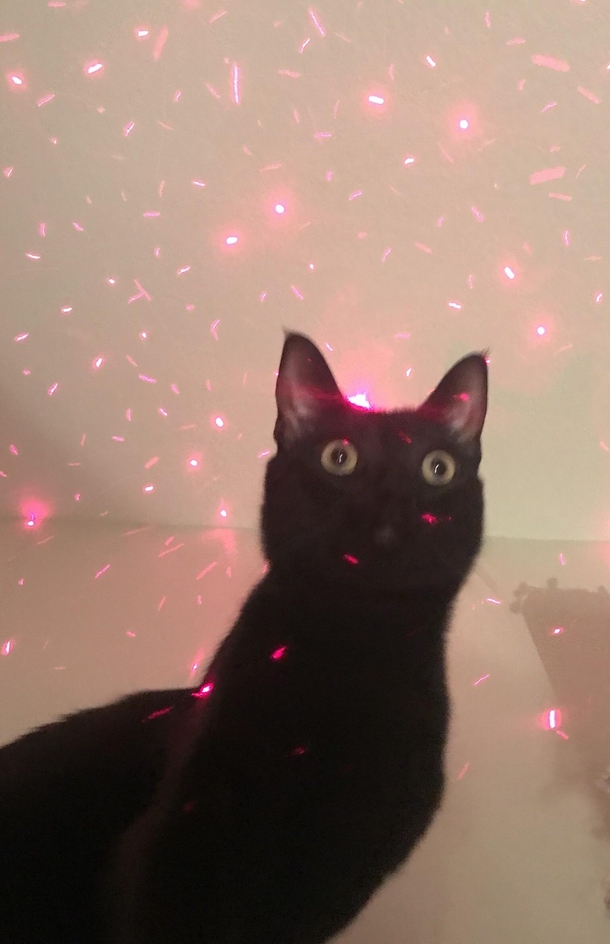 Got my cat a new toy