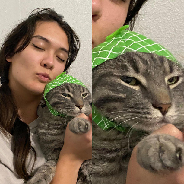Got my gfs cat a melon hat I think he likes it