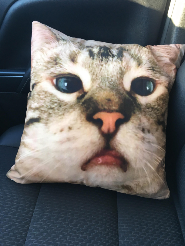 Got our cat printed on a pillow