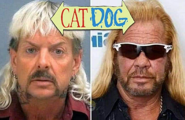 Got to love your Cat-Dog
