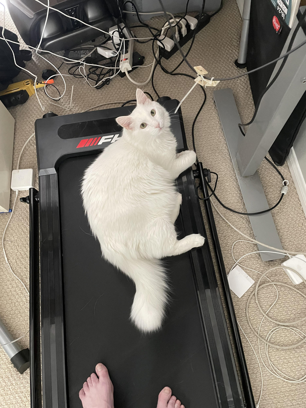 Got under desk treadmill to work outnot happening anymore