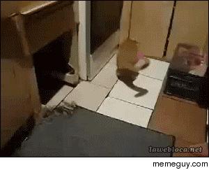 Gotcha 