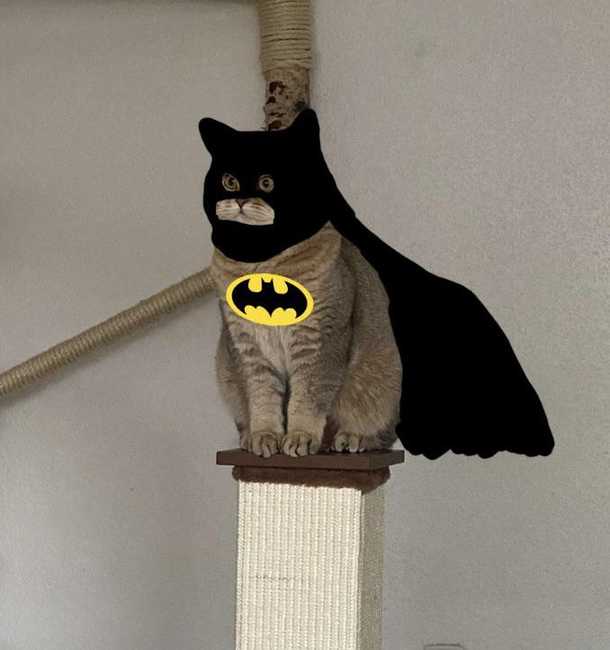 Gotham needs me