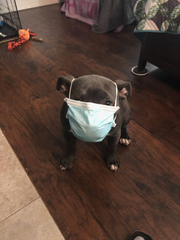 Grandpa has a lot of free time now so hes been sending random pics