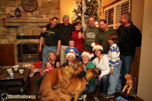 Greatest photobomb ever