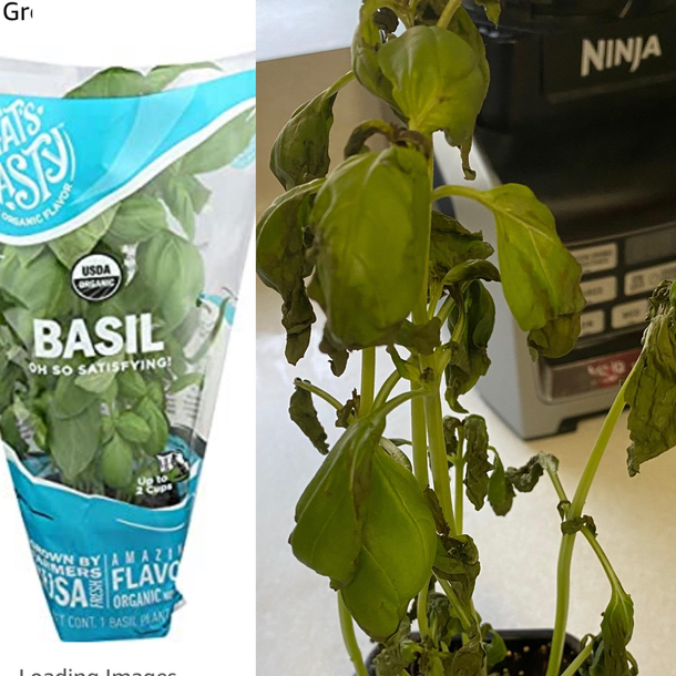 Grocery order from Whole Foods