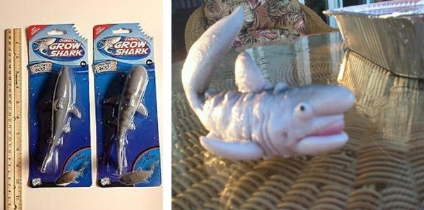 Grow-a-shark