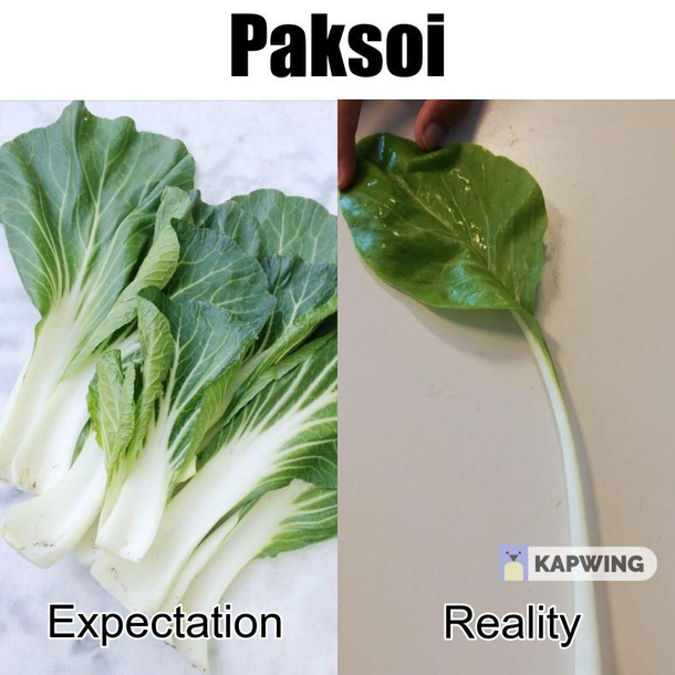 Growing paksoi is difficult