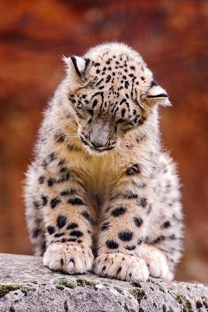 Growing up and having spots can make anyone feel sad
