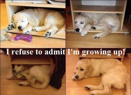 Growing up is overrated