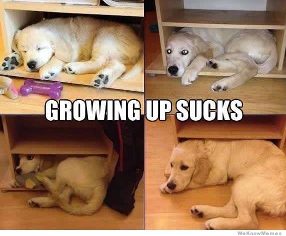 Growing up sucks