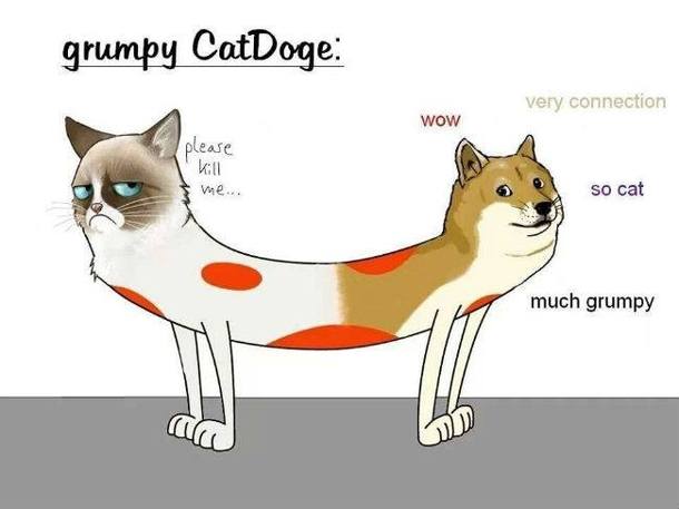 Grumpy cat-doge