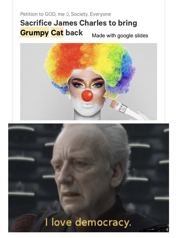 Grumpy Cat good James Charles bad