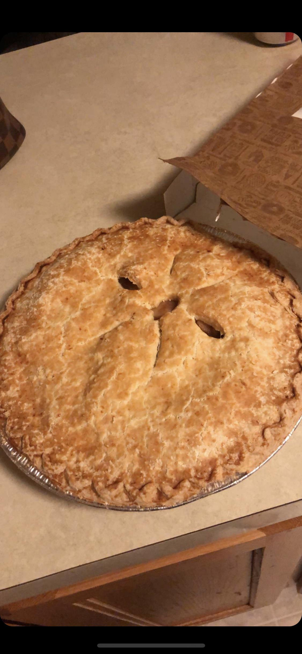 Grumpy cat pie