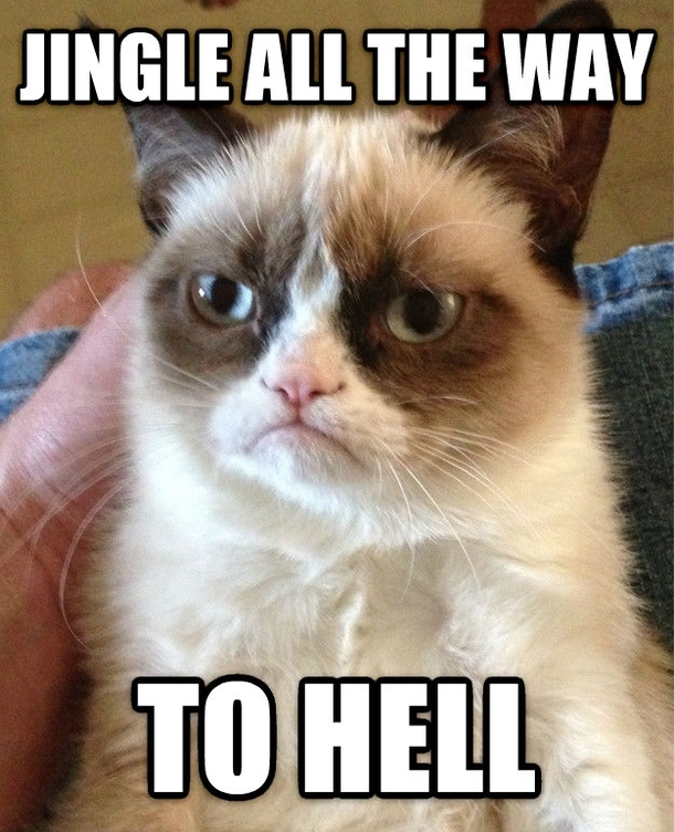Grumpy Cat thoughts on the holidays
