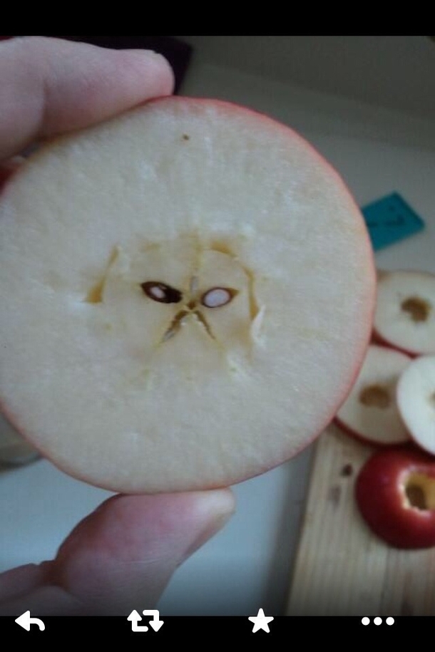 Grumpy catin my apple