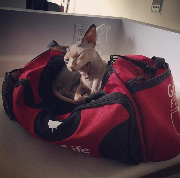 Guess I cant go to the gym today