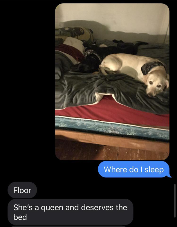 Guess Im sleeping on the floor