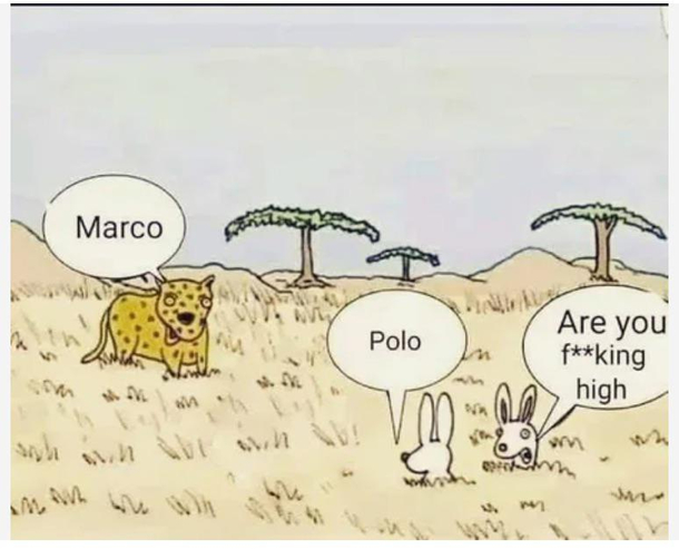 Guess its not the right time to play Marco Polo