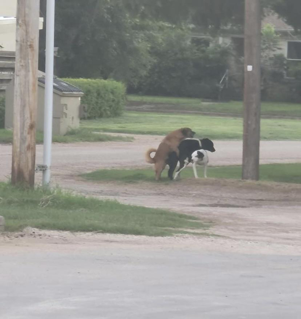 Guess our neighborhood isnt so family friendly anymore